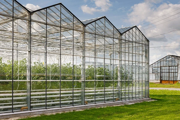 greenhouse greenhouse